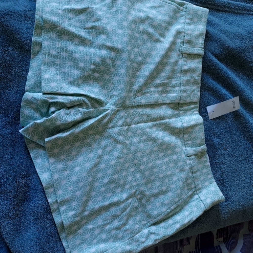 BRAND NEW Loft Outlet Size 10 Green and White Shorts